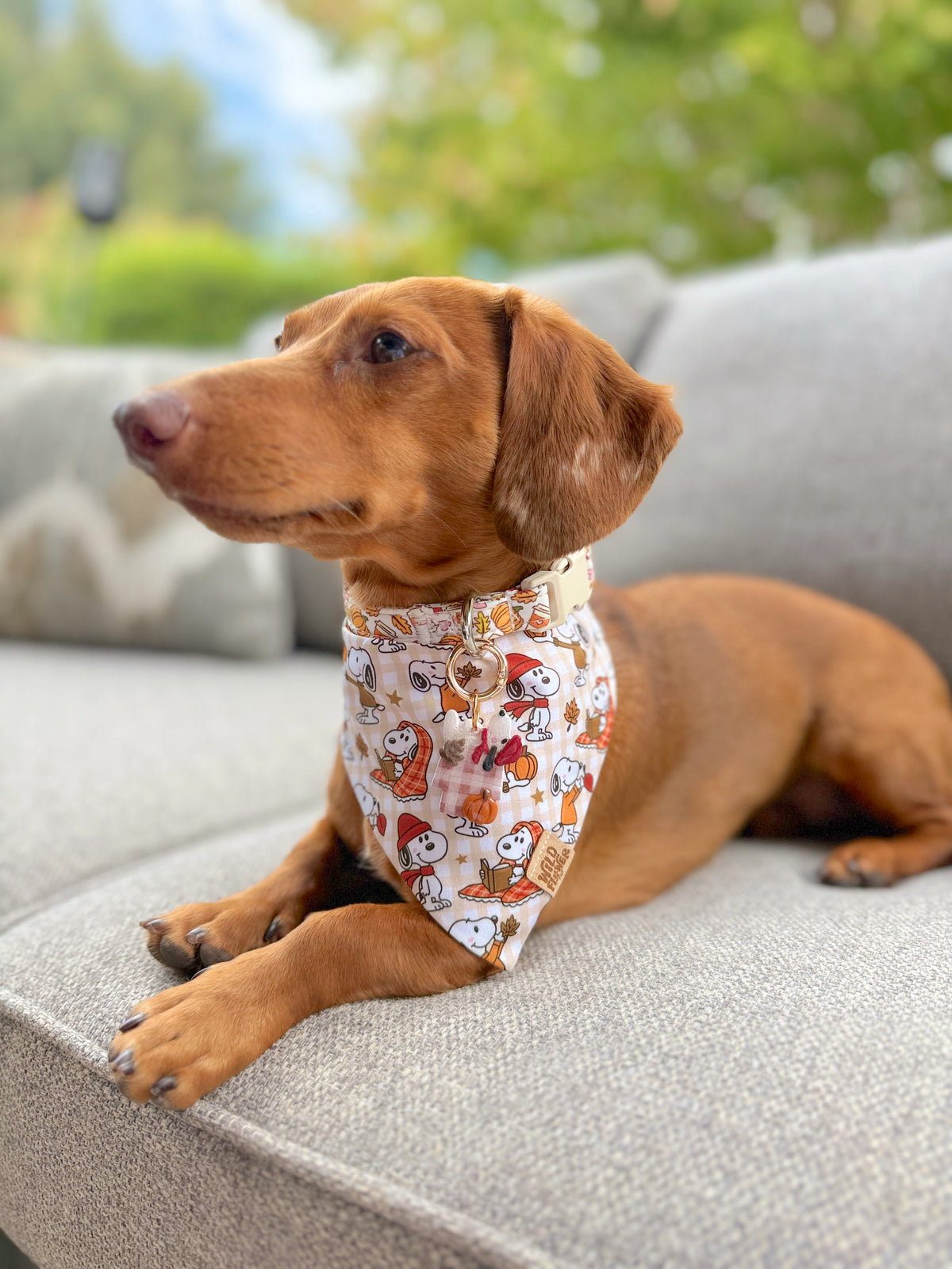 Cozy Cottage Pup | Clay pet id tag