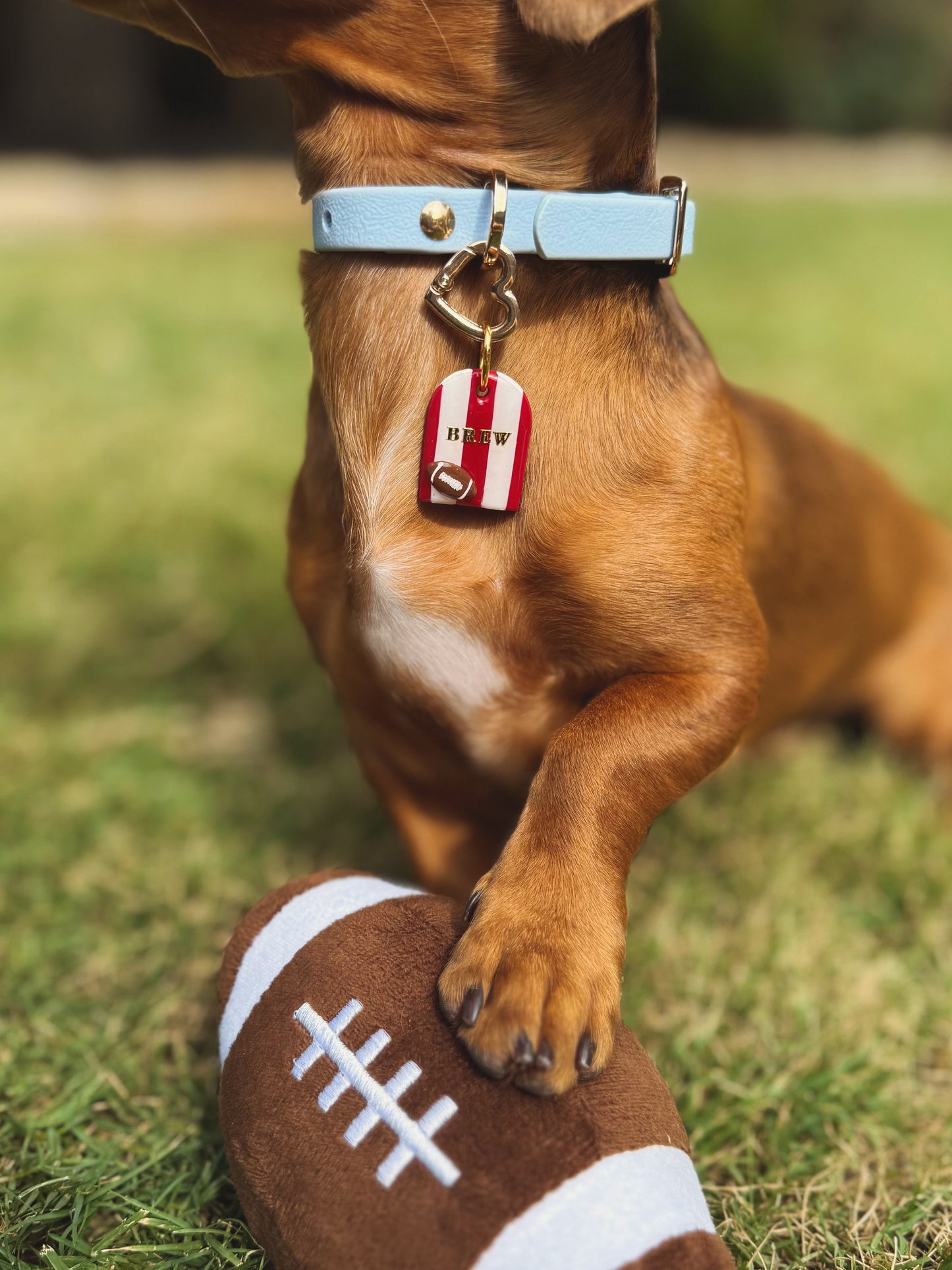 football team arch | customizable clay pet id tag