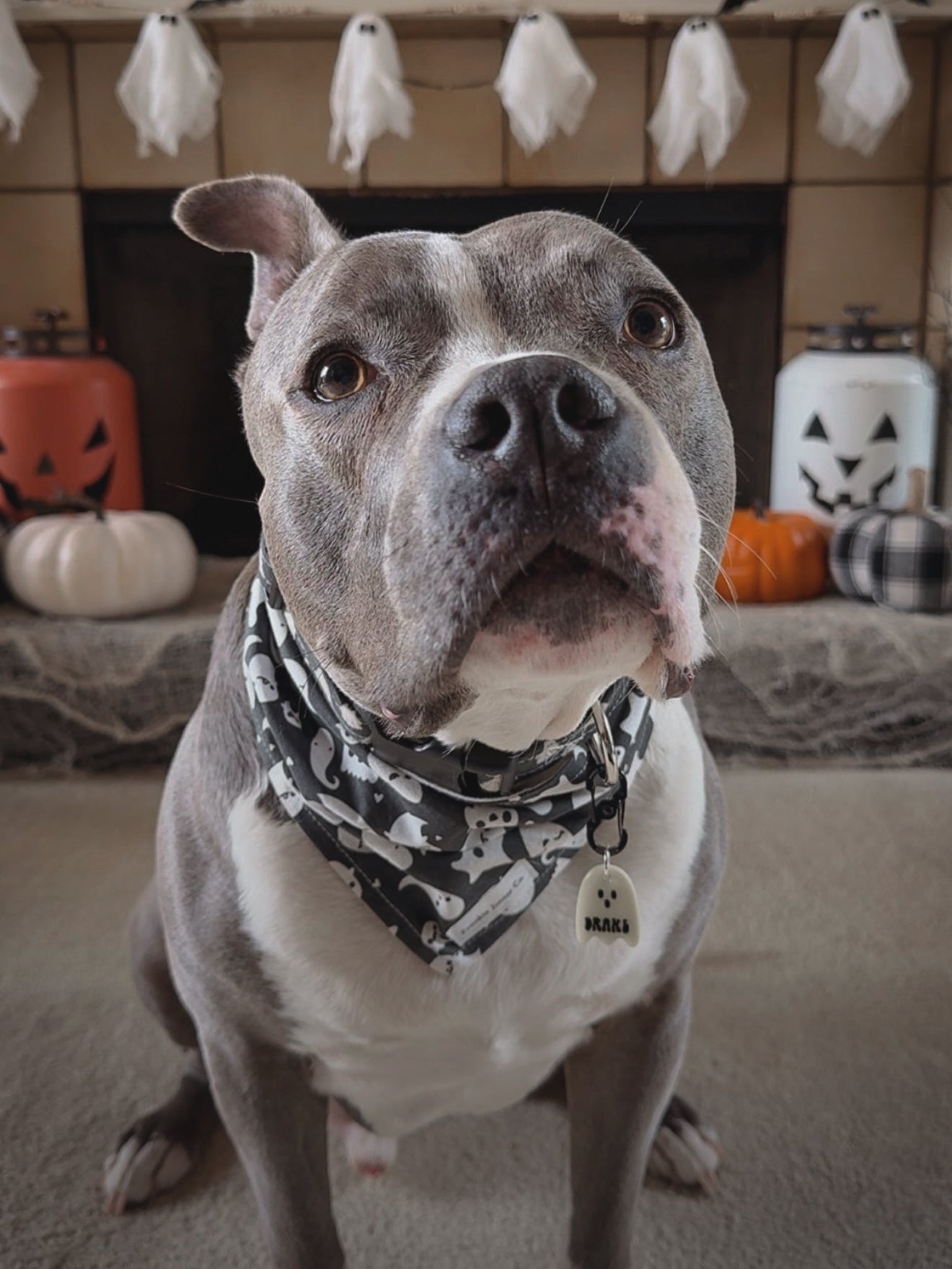 ghost | GLOW IN THE DARK clay pet id tag