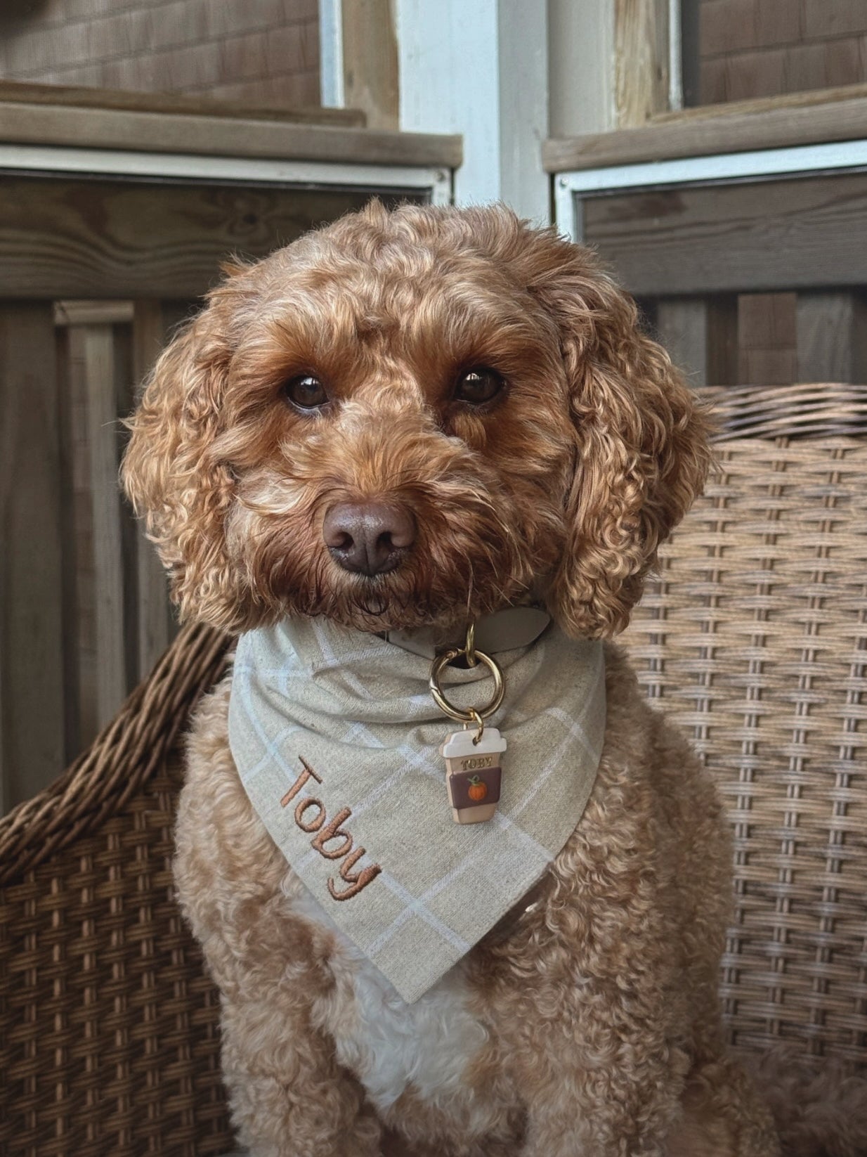 PSL | clay pet id tag