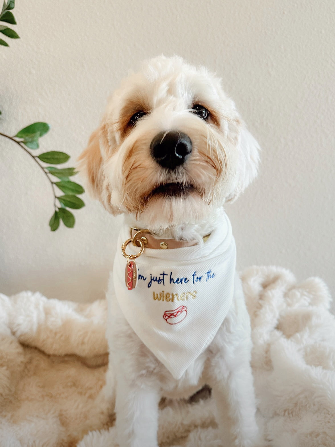 hotdog | clay pet id tag