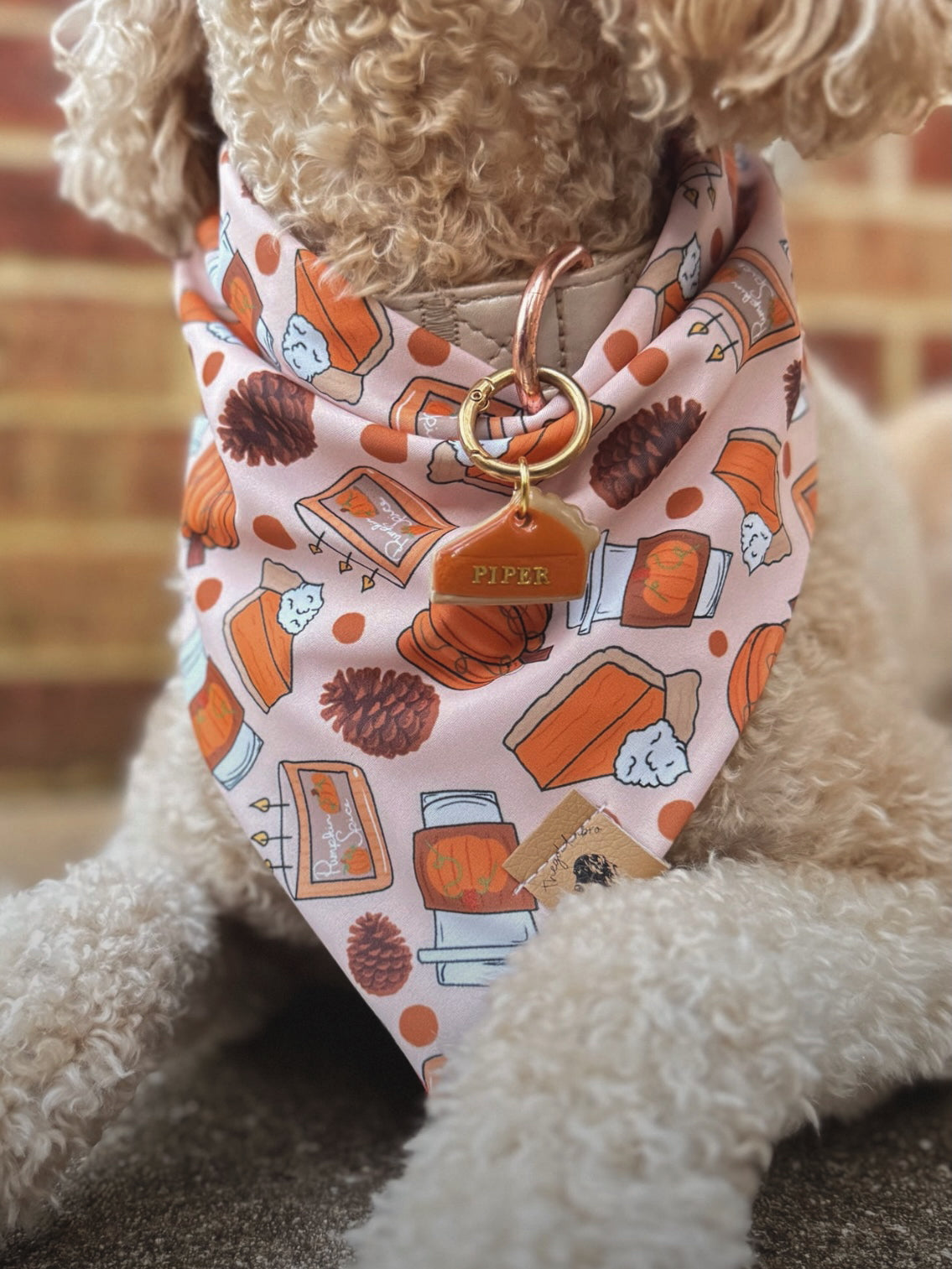 pumpkin pie slice | clay pet id tag
