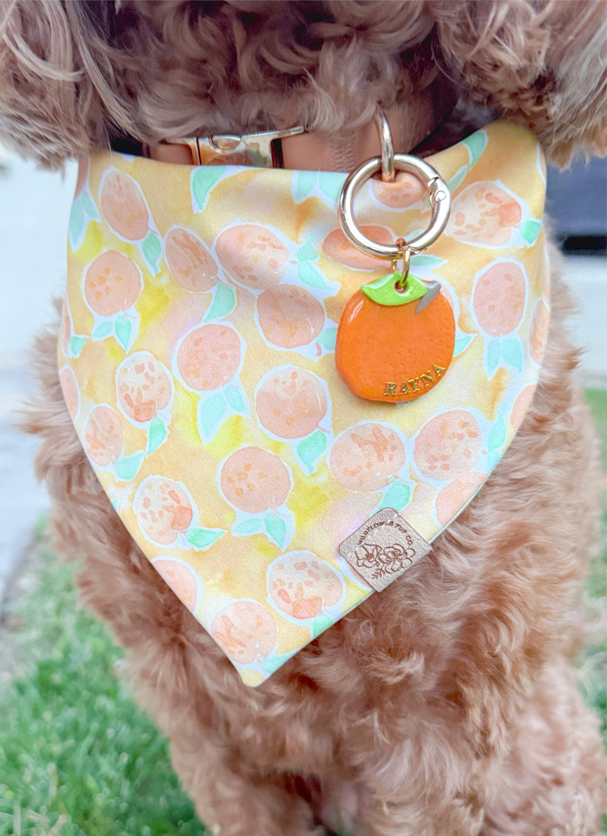 Orange | Clay pet id tag