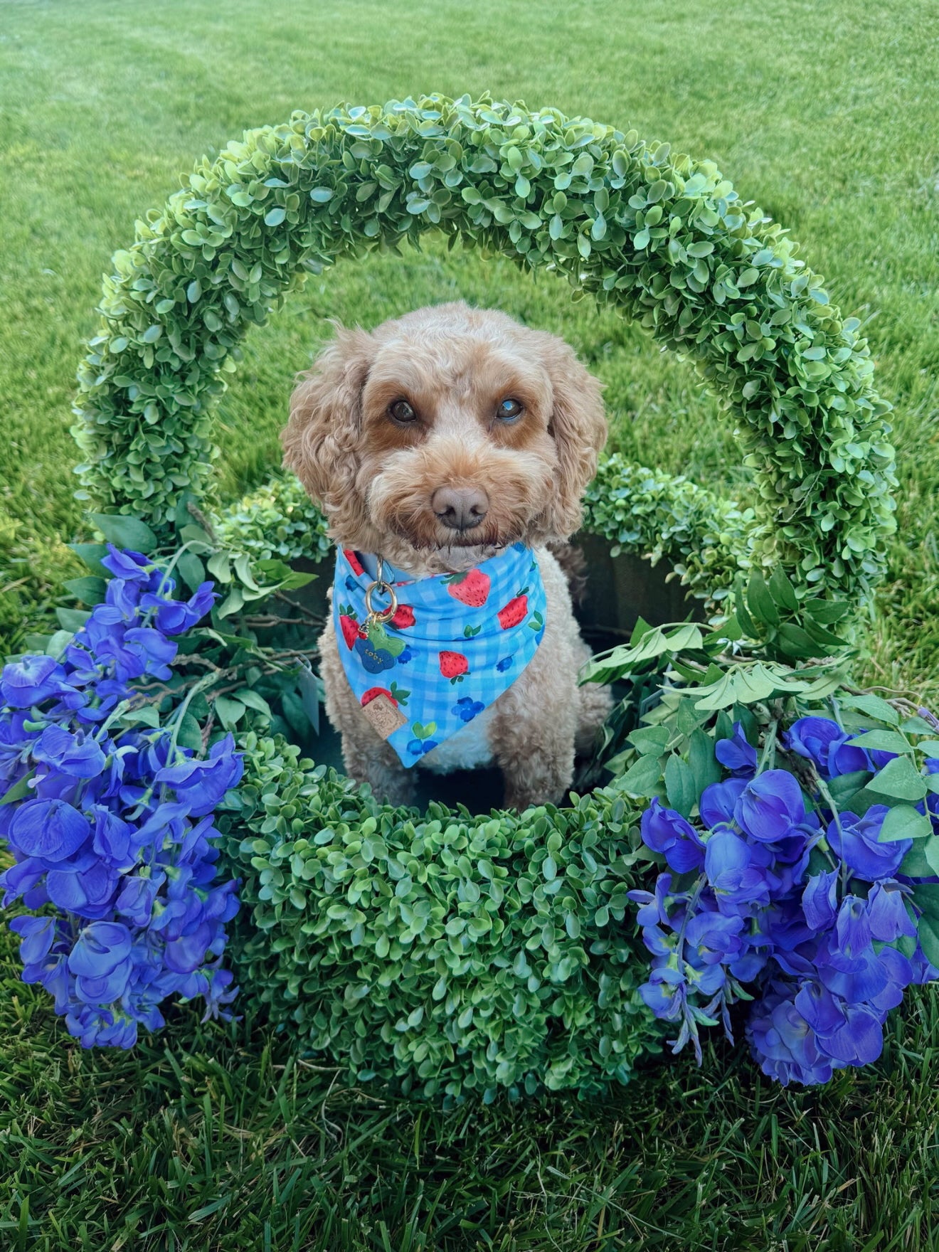 Blueberry | clay pet id tag