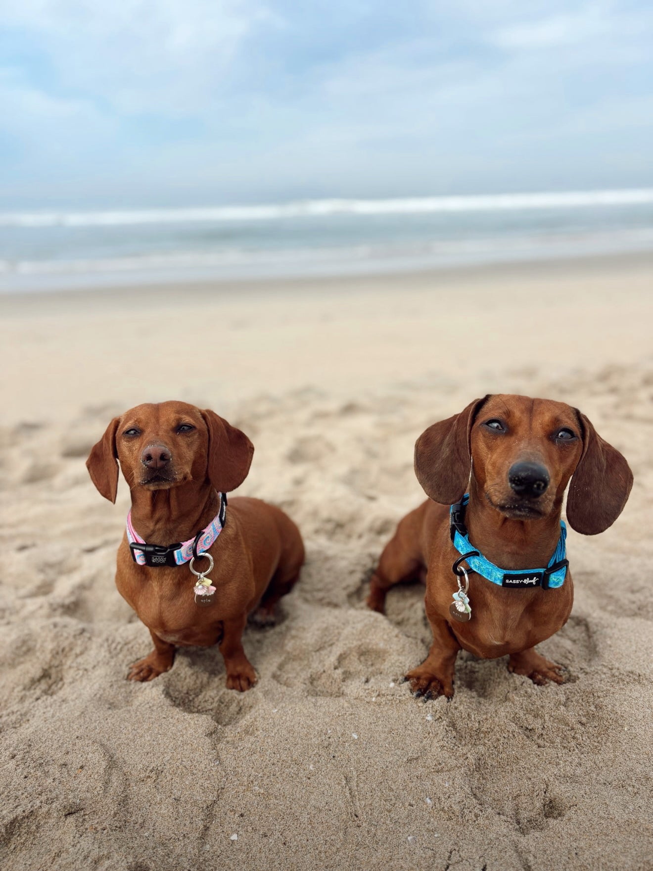 Coconut Drink | clay pet id tag