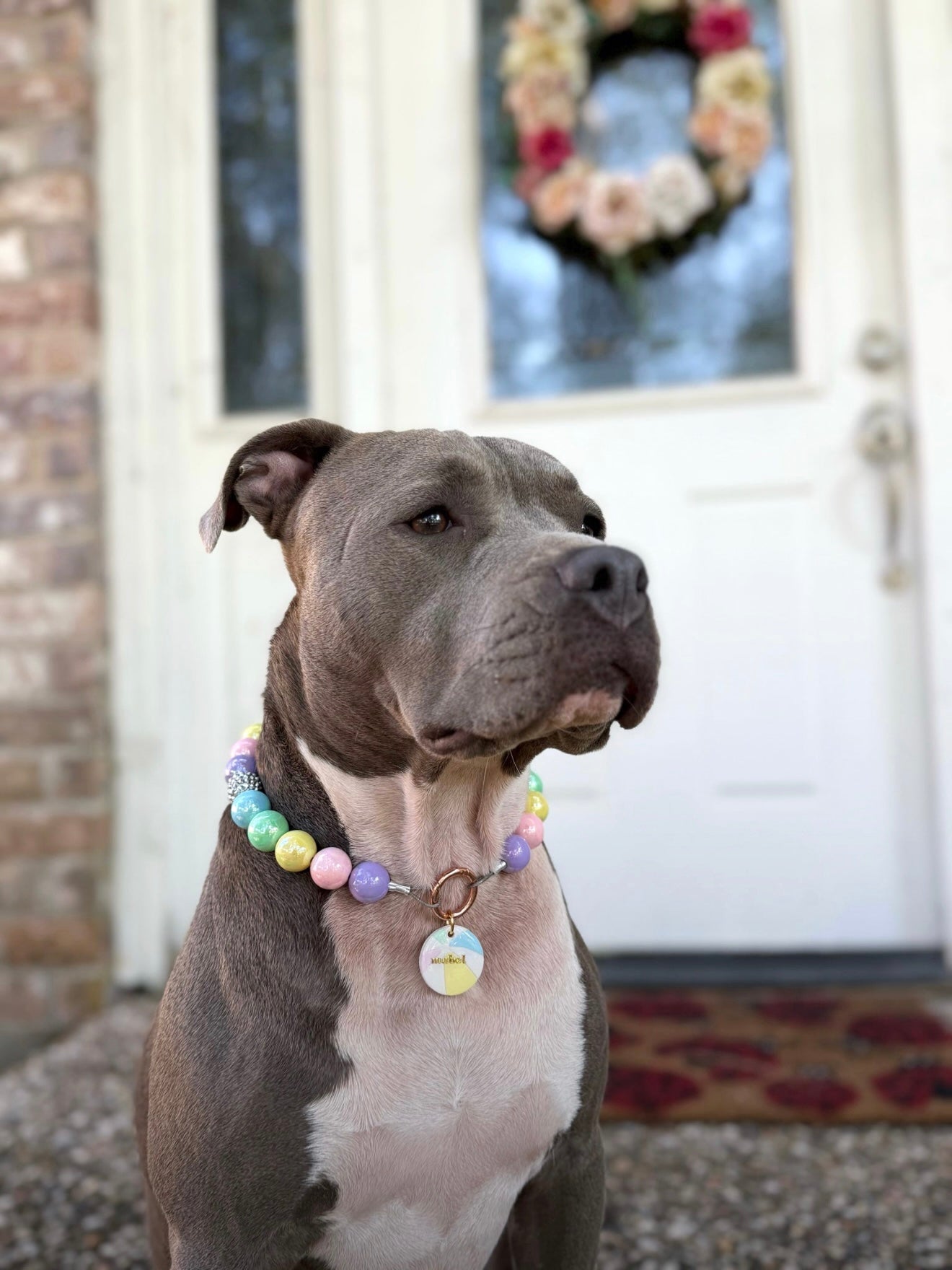 beach ball | clay pet id tag