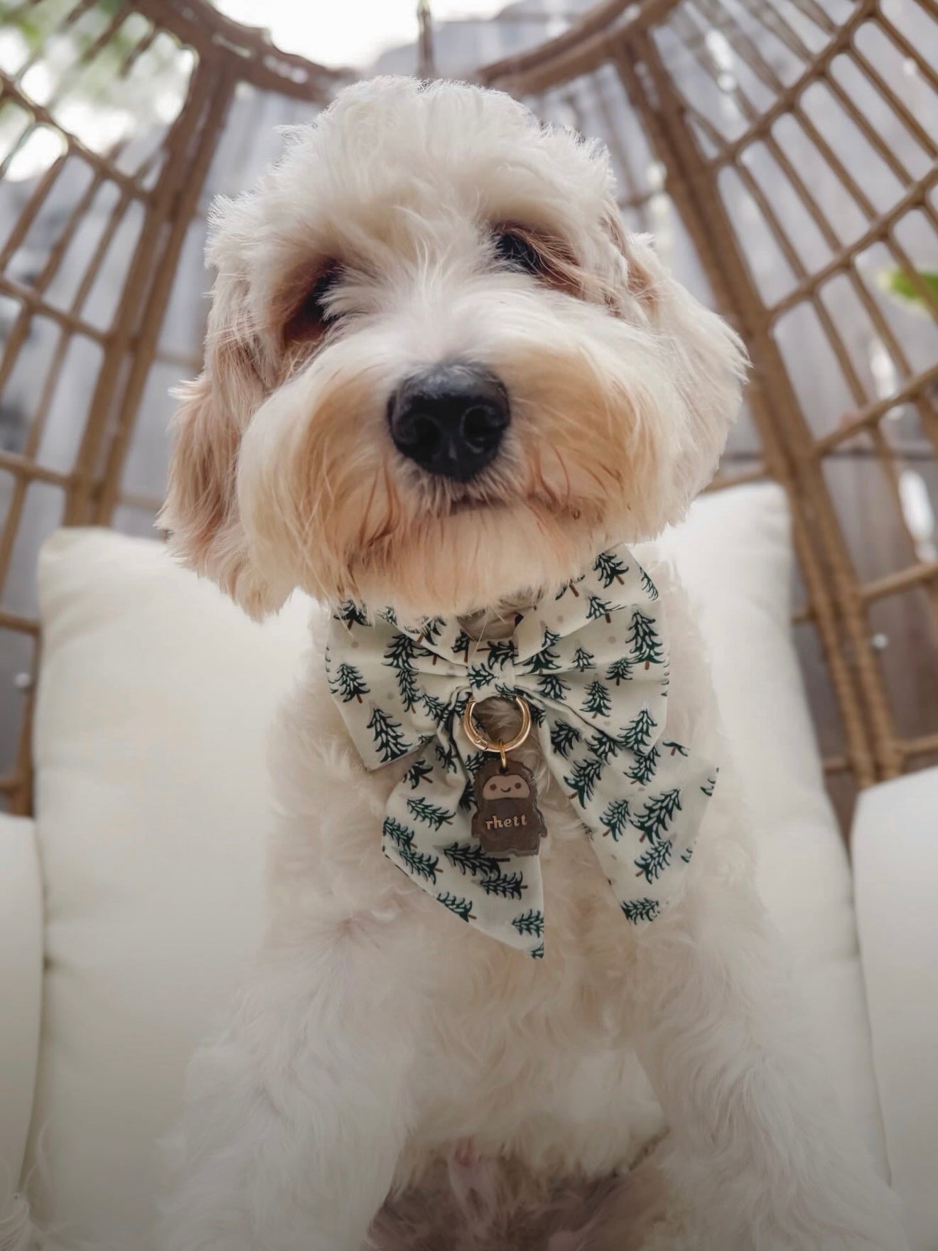 bigfoot | clay pet id tag