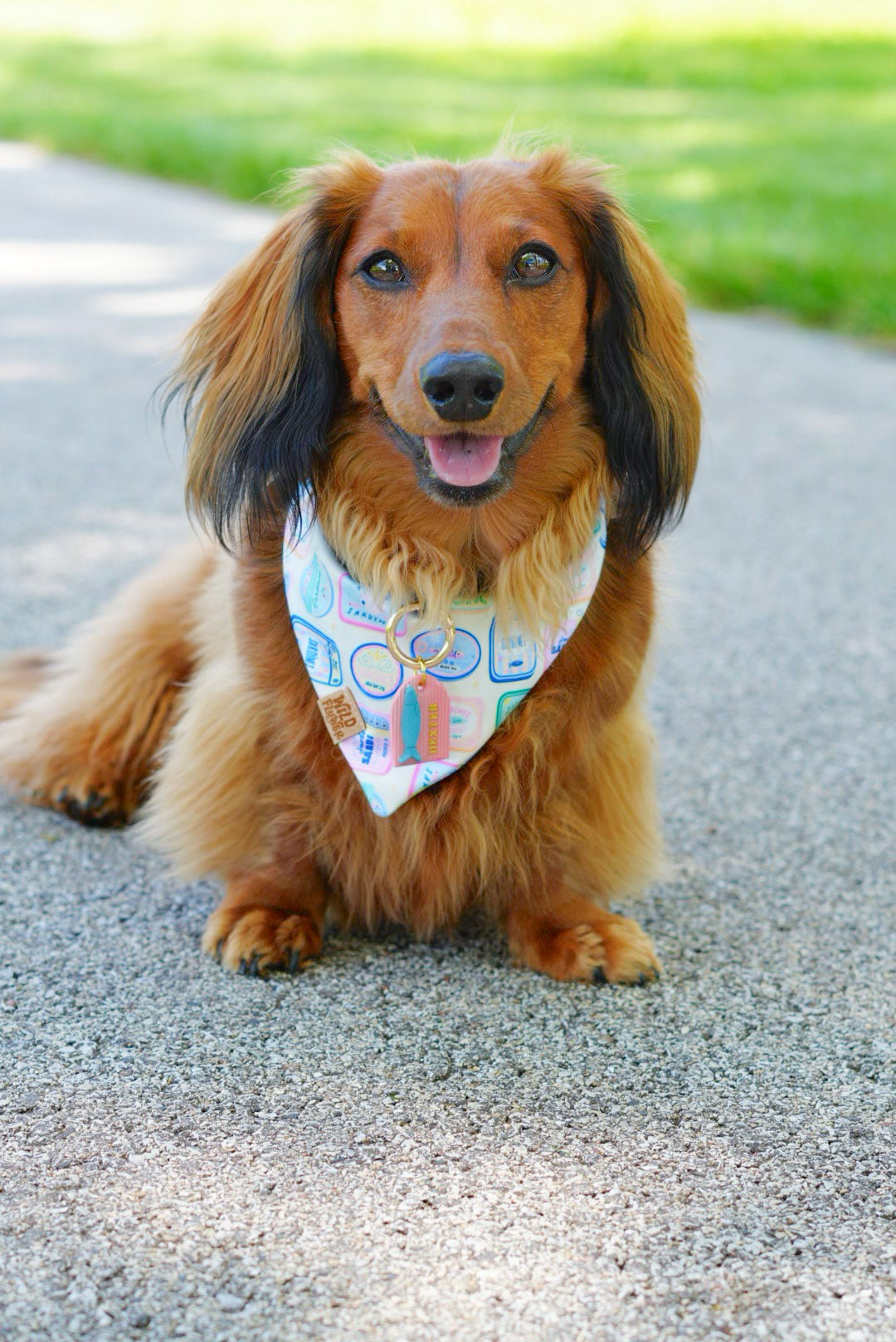 Coastal arch | clay pet id tag