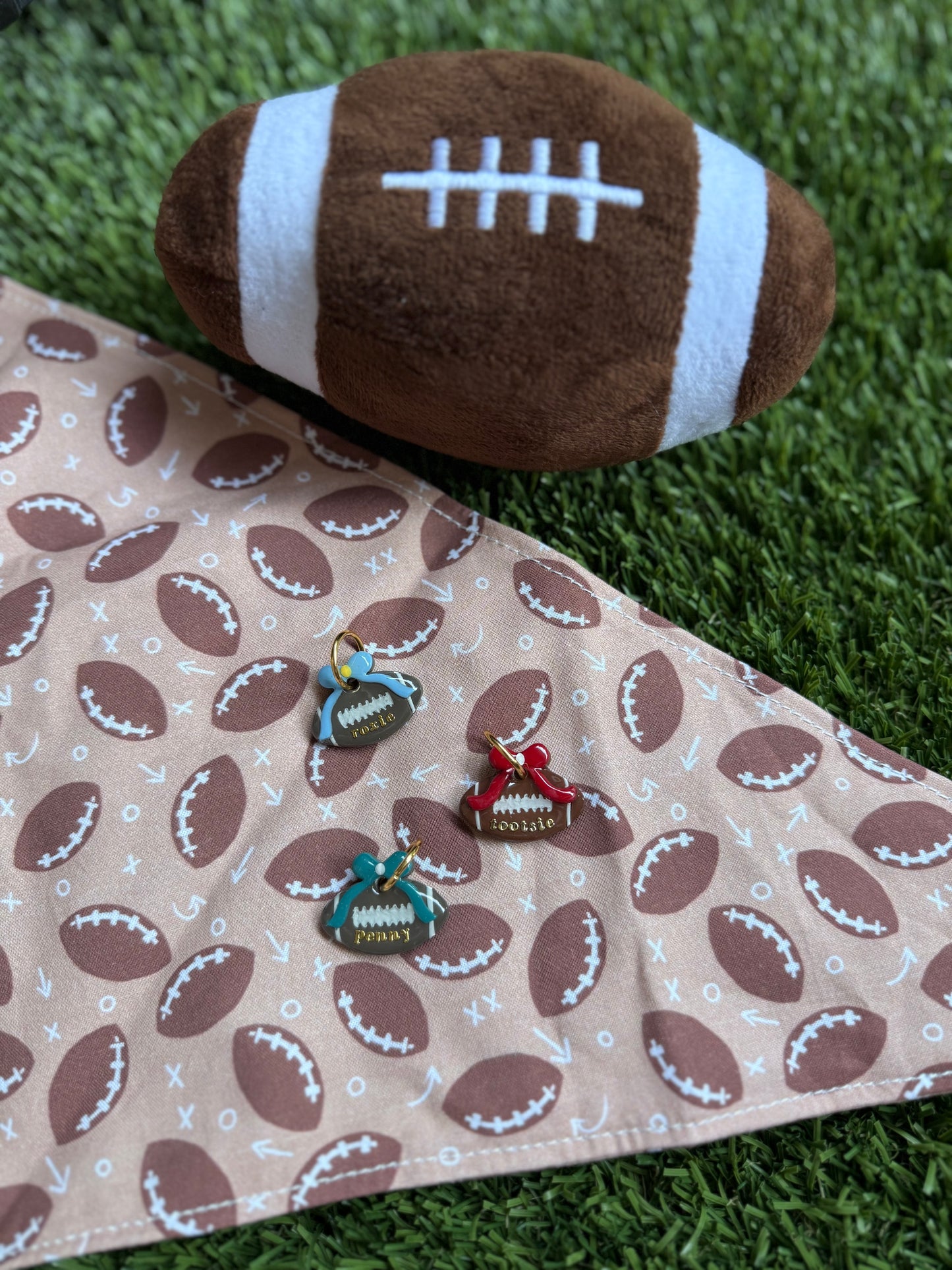 bow’n to win | customizable clay pet id tag