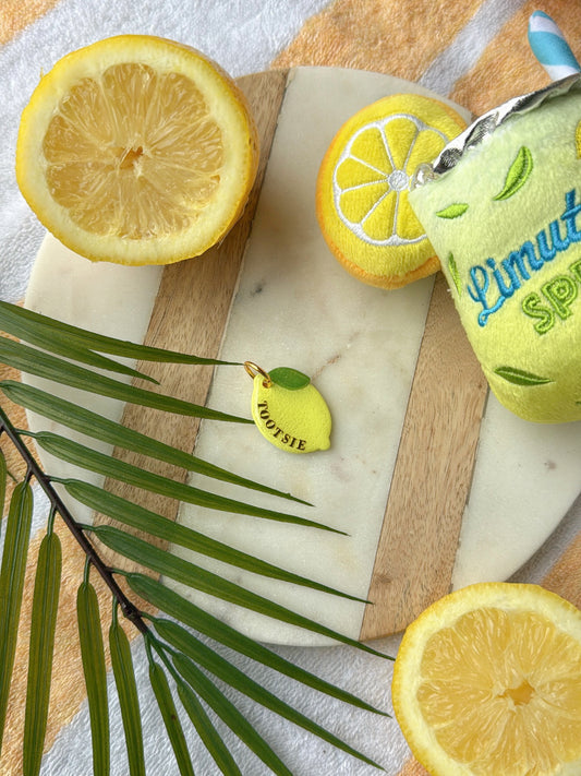 Lemon | Clay pet id tag