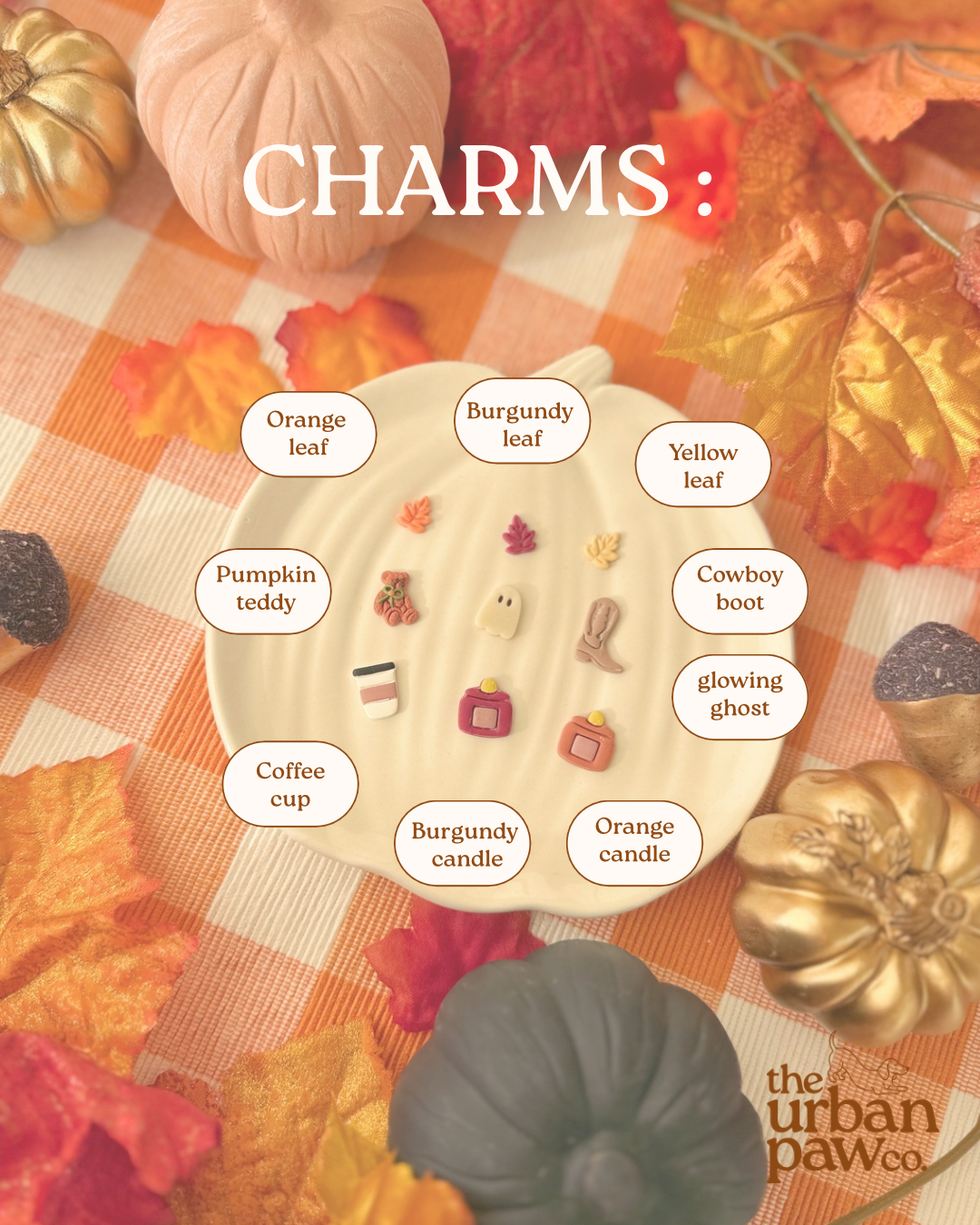 Create your cozy | Clay pet id tag