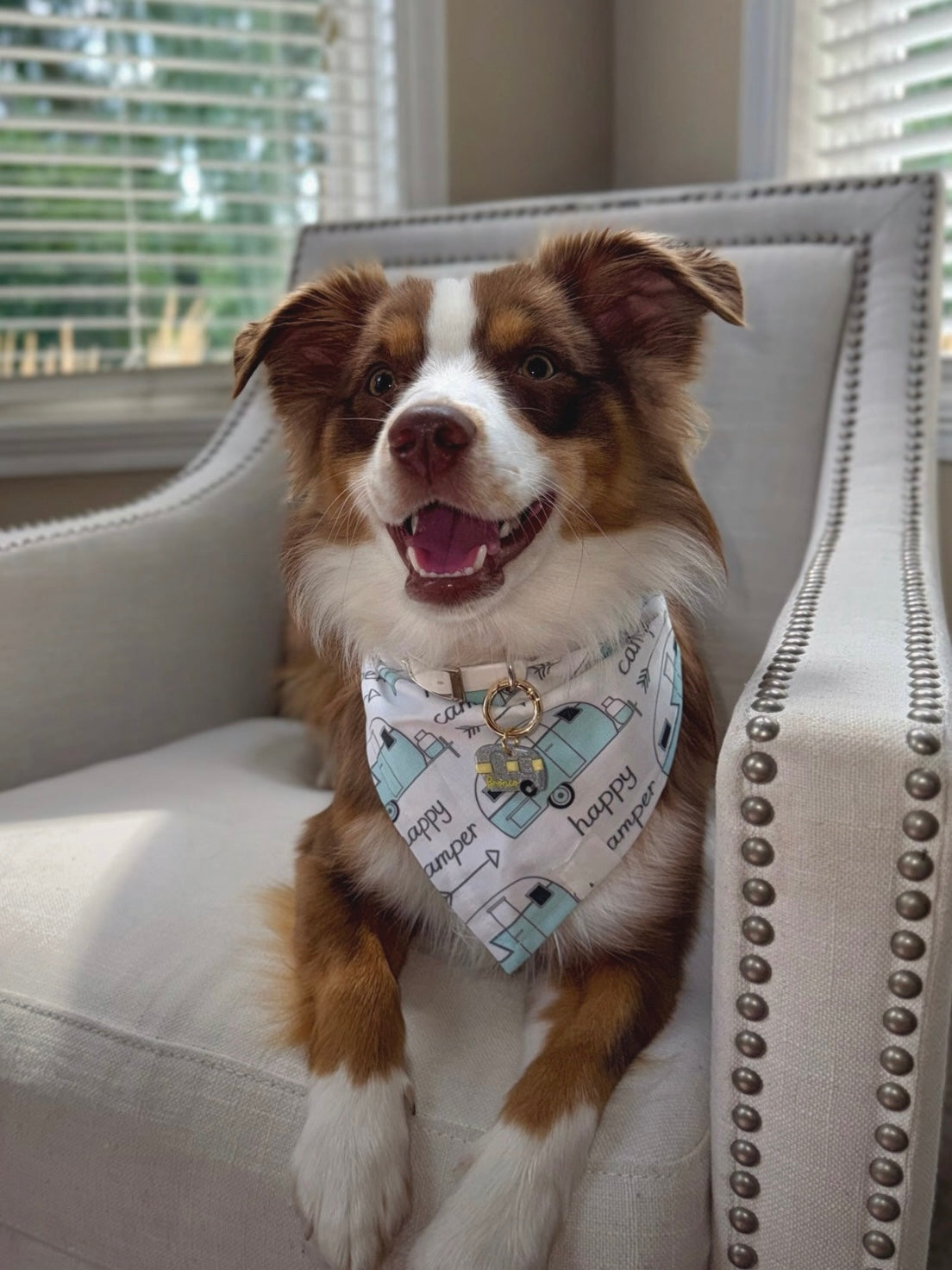 camper | clay pet id tag