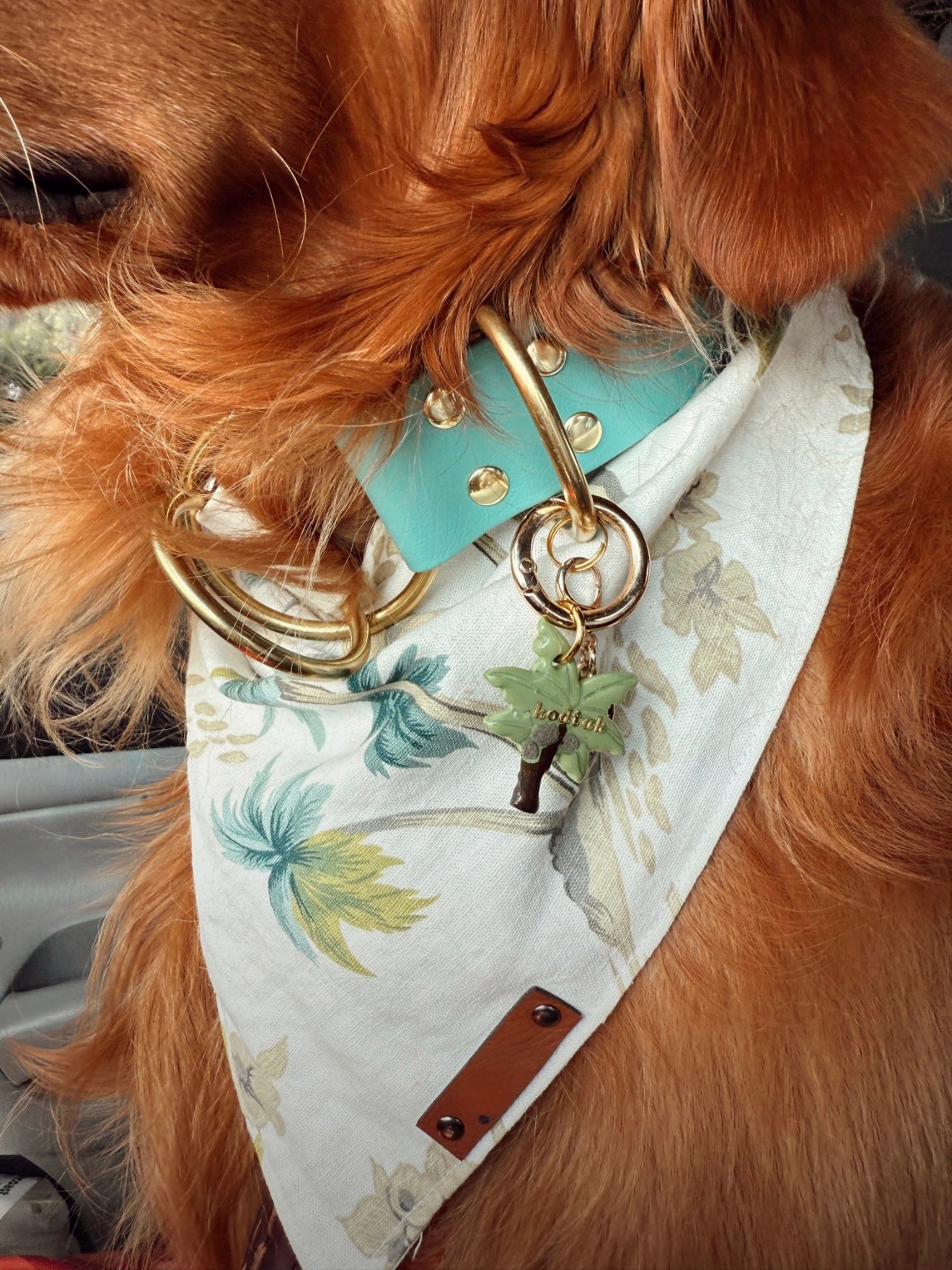 palm tree | clay pet id tag