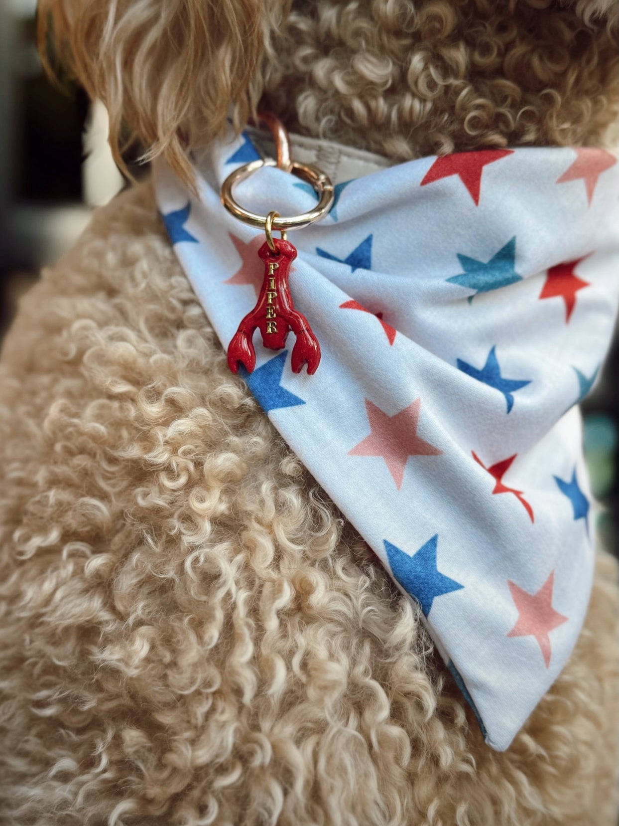 crawfish | clay id tag