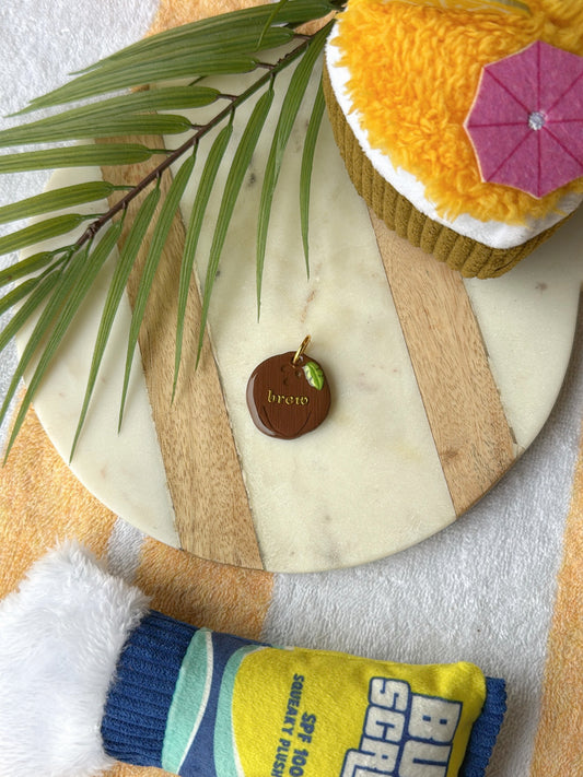 Coconut | Clay pet id tag