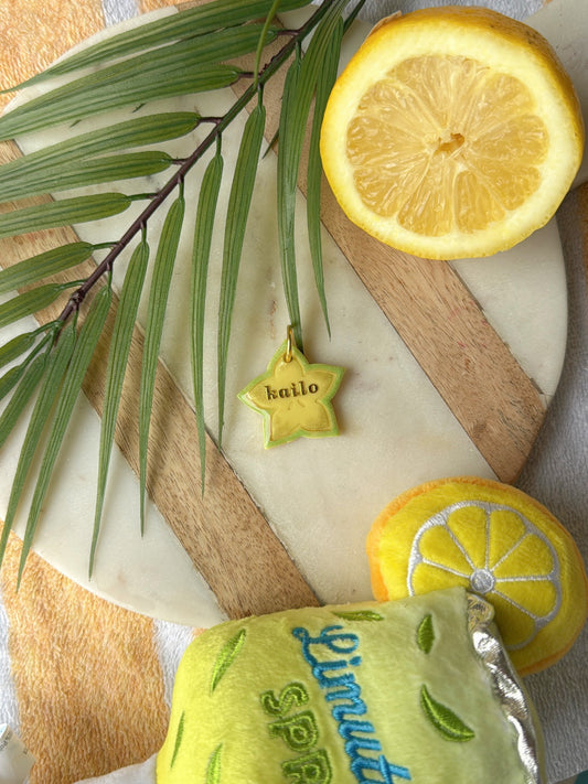 Star fruit | Clay pet id tag