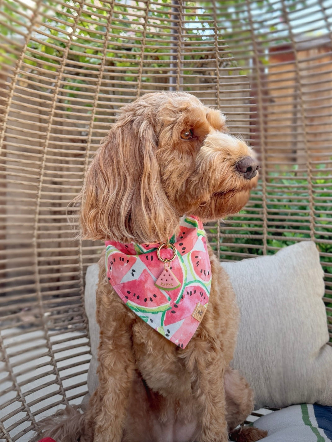 watermelon slice | clay pet id tag