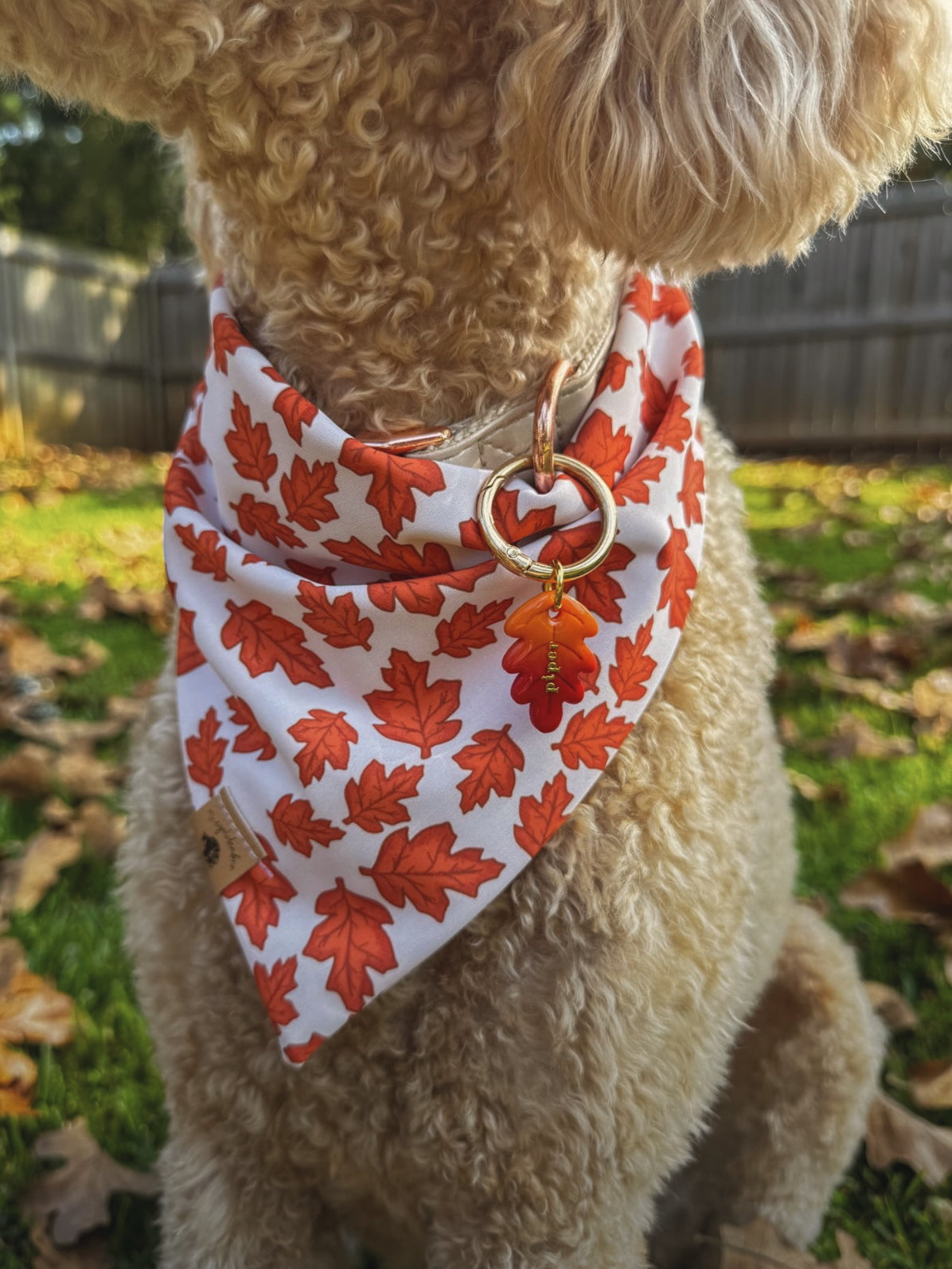 oak leaf | clay pet id tag