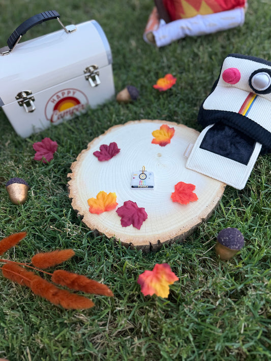 Retro Camera | Clay pet id tag