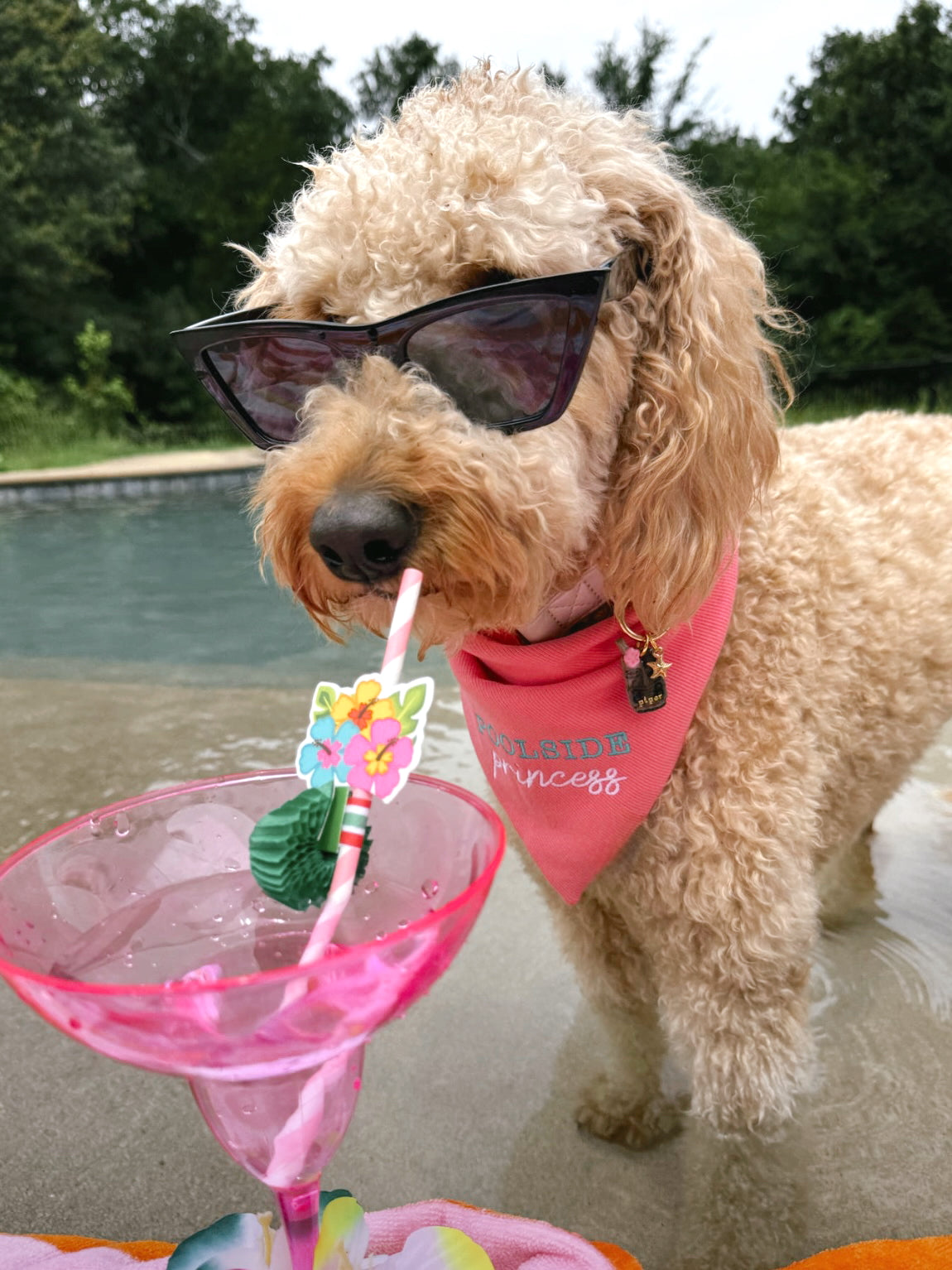 Tiki Drink | clay pet id tag