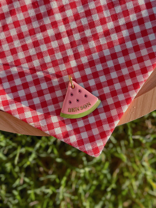 watermelon slice | clay pet id tag