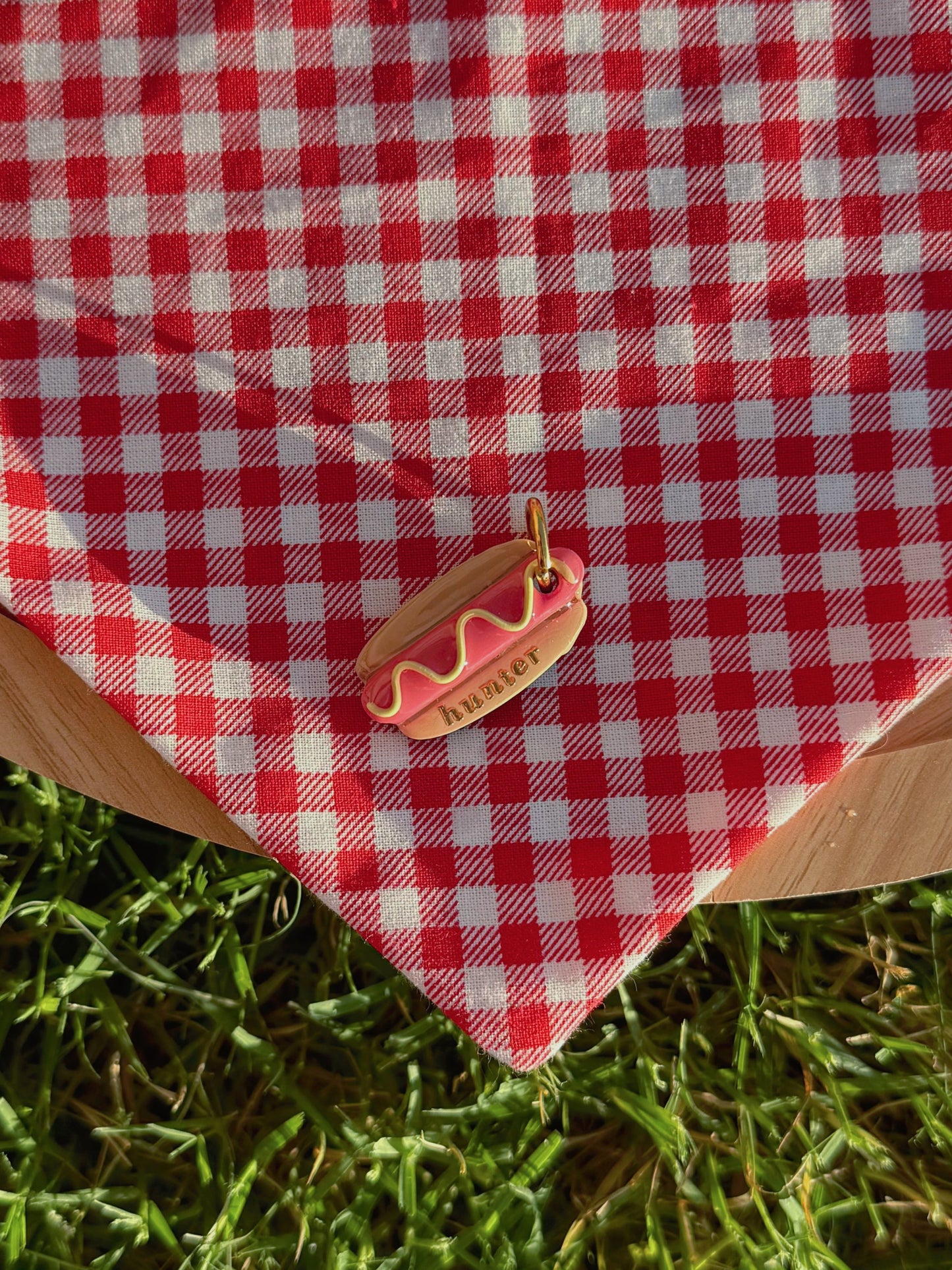 hotdog | clay pet id tag